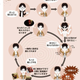 Image for article titled In Japan, the Cycle of Dependency Has Gone Viral